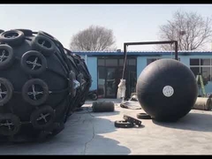 Hiển thị chắn bùn STS