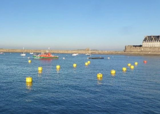 Chất lượng Độ bền thời tiết mạnh mẽ Marine Mooring Buoy Khả năng tải cao hơn cho nền tảng nổi nhà máy sản xuất