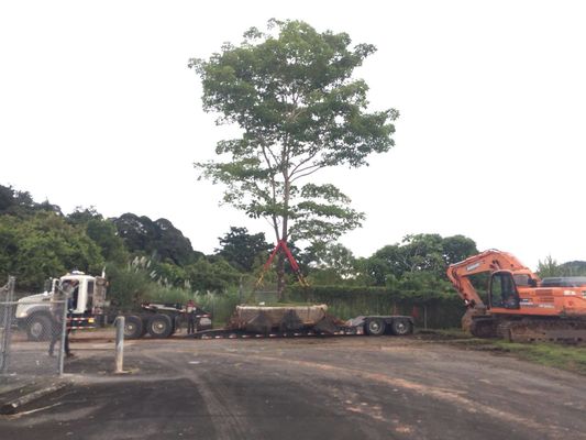 Chất lượng Tàu cao su hàng hải hạ thủy túi khí Dock khô Hạ thủy tàu nâng nhà máy sản xuất