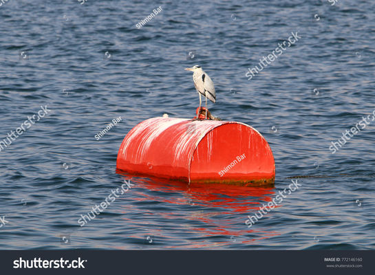 Chất lượng Thuyền đơn bằng thép nổi Thặng dư phao neo trên biển Bọt đầy đa chức năng nhà máy sản xuất