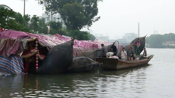 Chất lượng Thuyền bơm hơi hàng hải Tàu thủy khí nén Tấm chắn thuyền cao su nổi nhà máy sản xuất